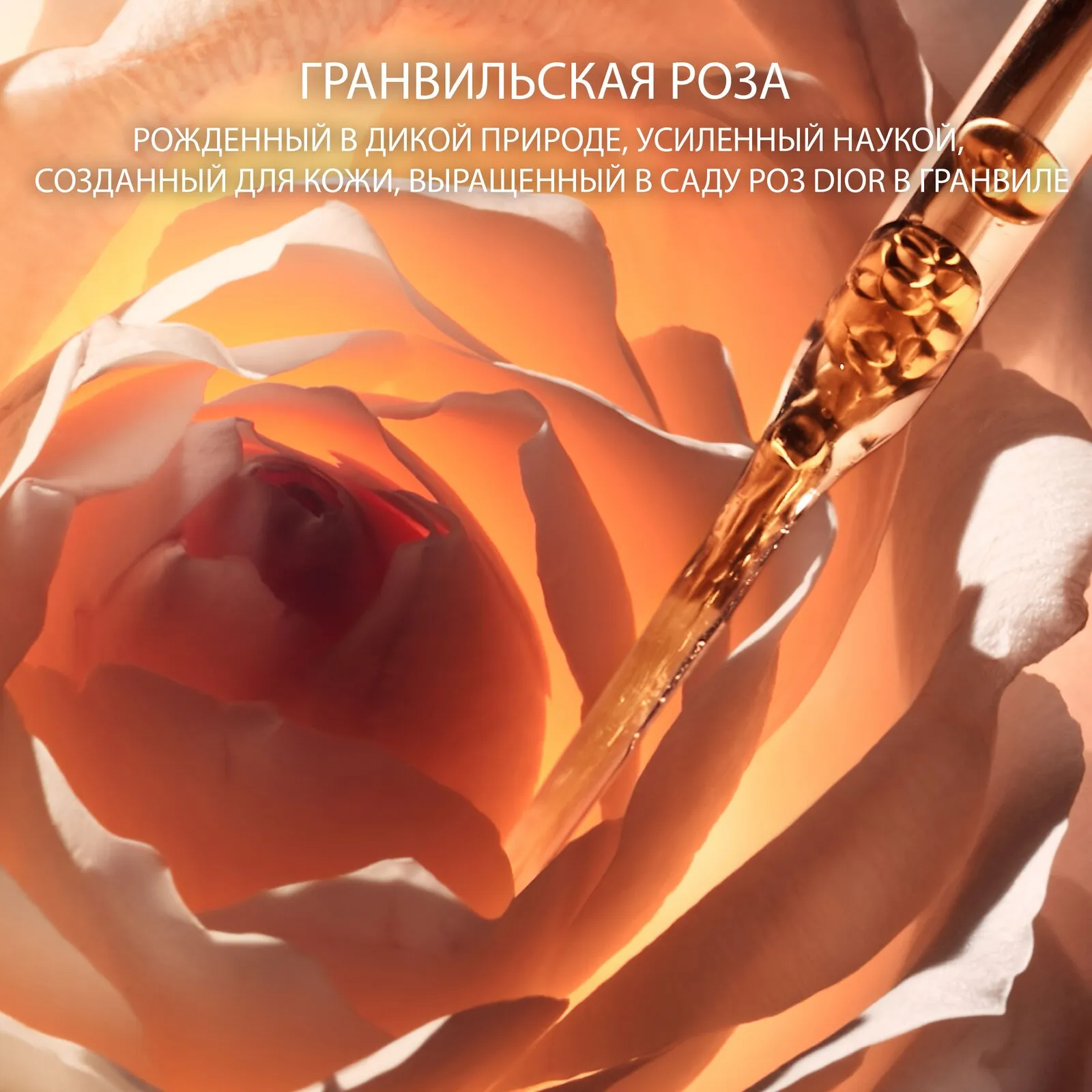 Dior Prestige La Micro-Huile de Rose Activated Serum Исключительная восстанавливающая микропитательная сыворотка