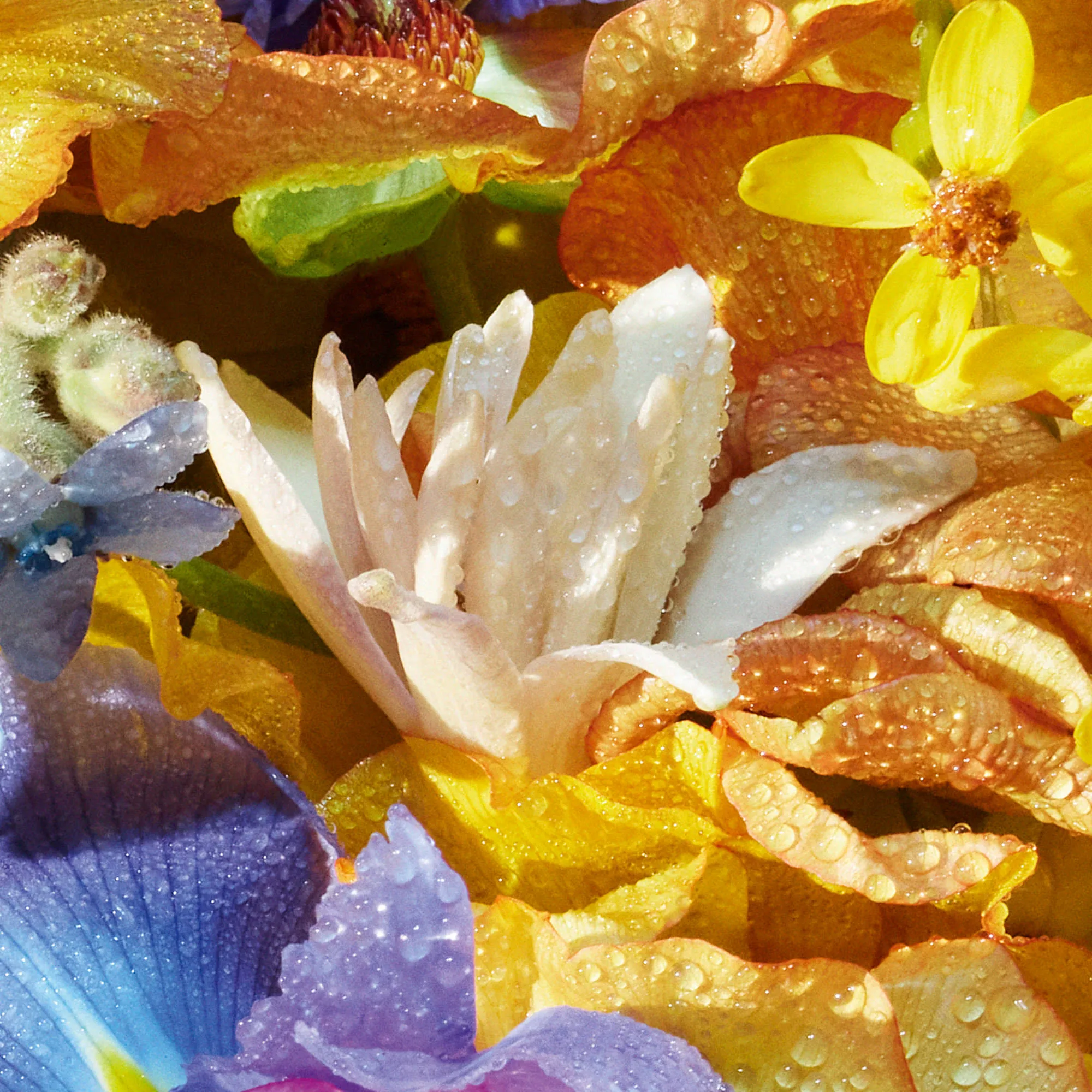 Aqua Allegoria Florabloom Туалетная вода