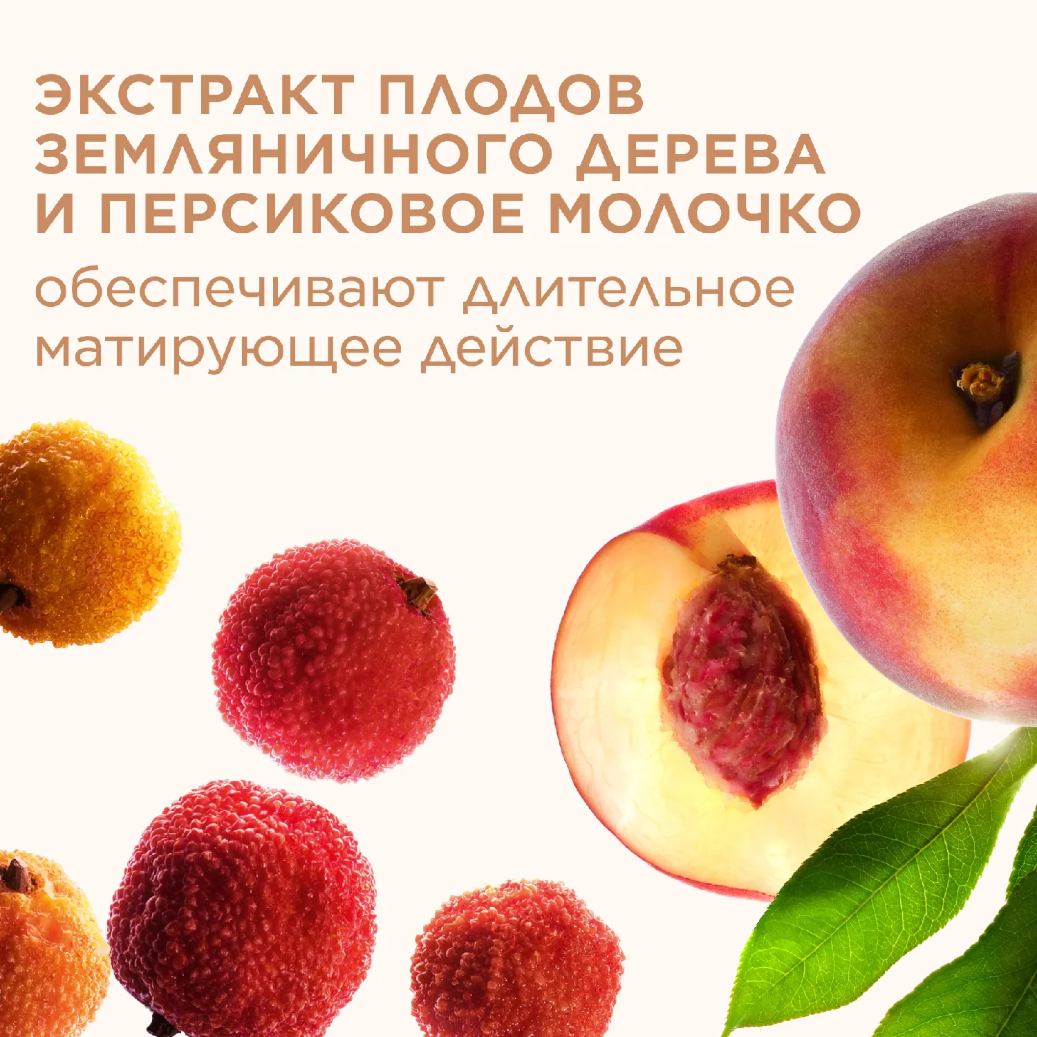 Ever Matte Матирующая компактная пудра