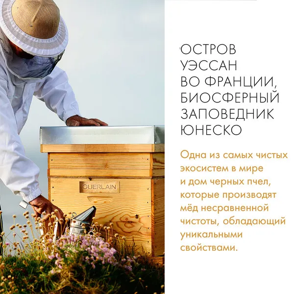 Abeille Royale Дневной крем с насыщенной текстурой