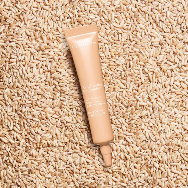 Everlasting Concealer Устойчивый консилер