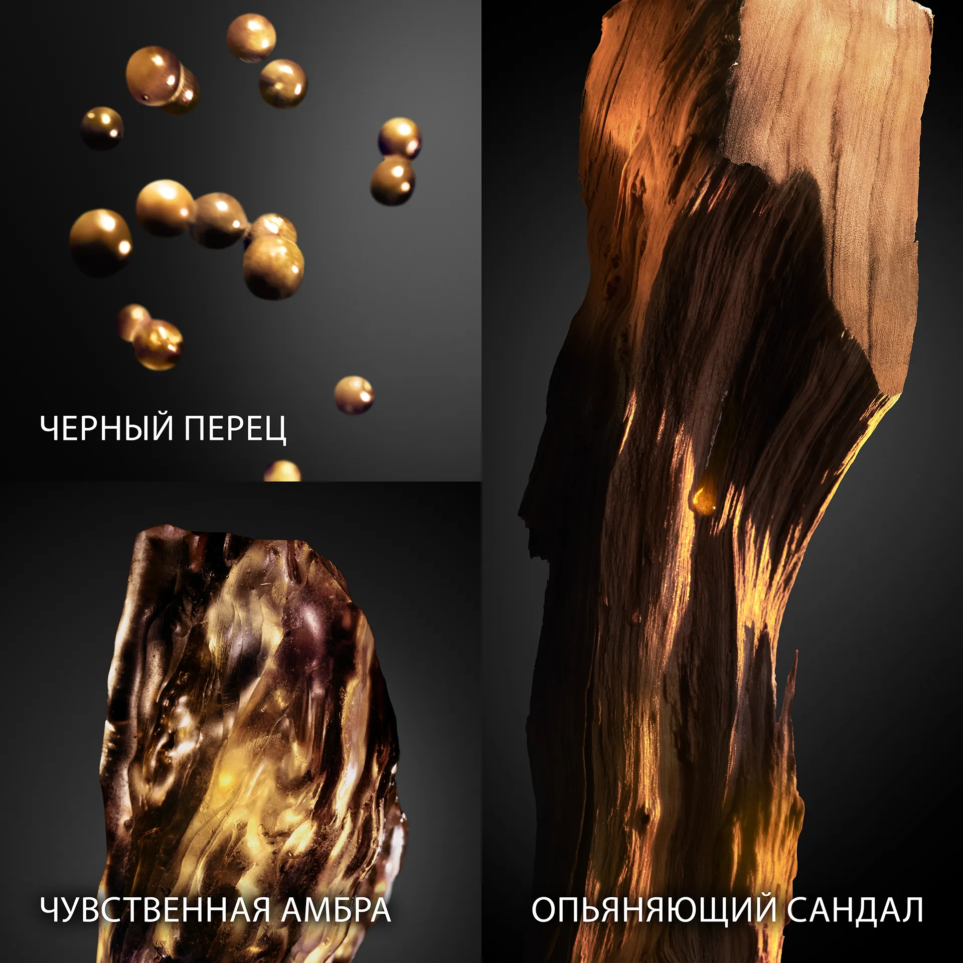 Invictus Victory Absolu Духи-спрей 