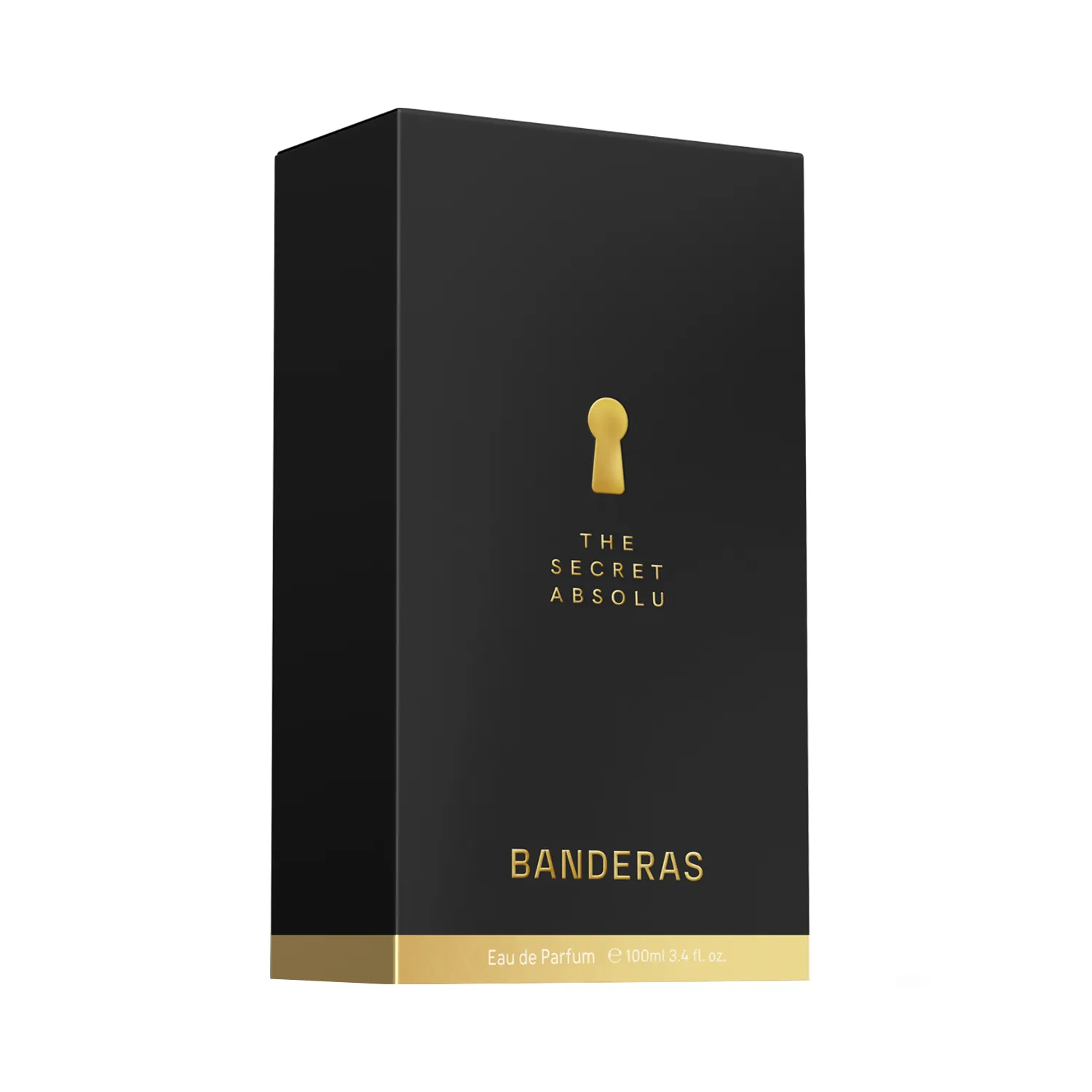 The Secret Absolu Парфюмерная вода для мужчин The Secret Absolu Парфюмерная вода для мужчин