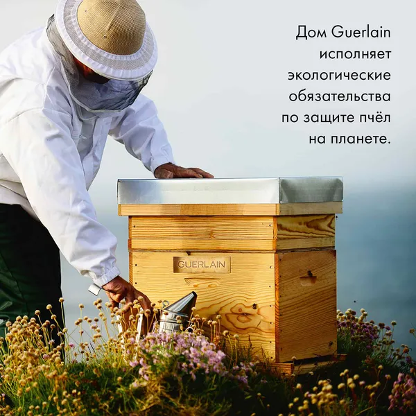 Abeille Royale Улучшенное лёгкое омолаживающее масло
