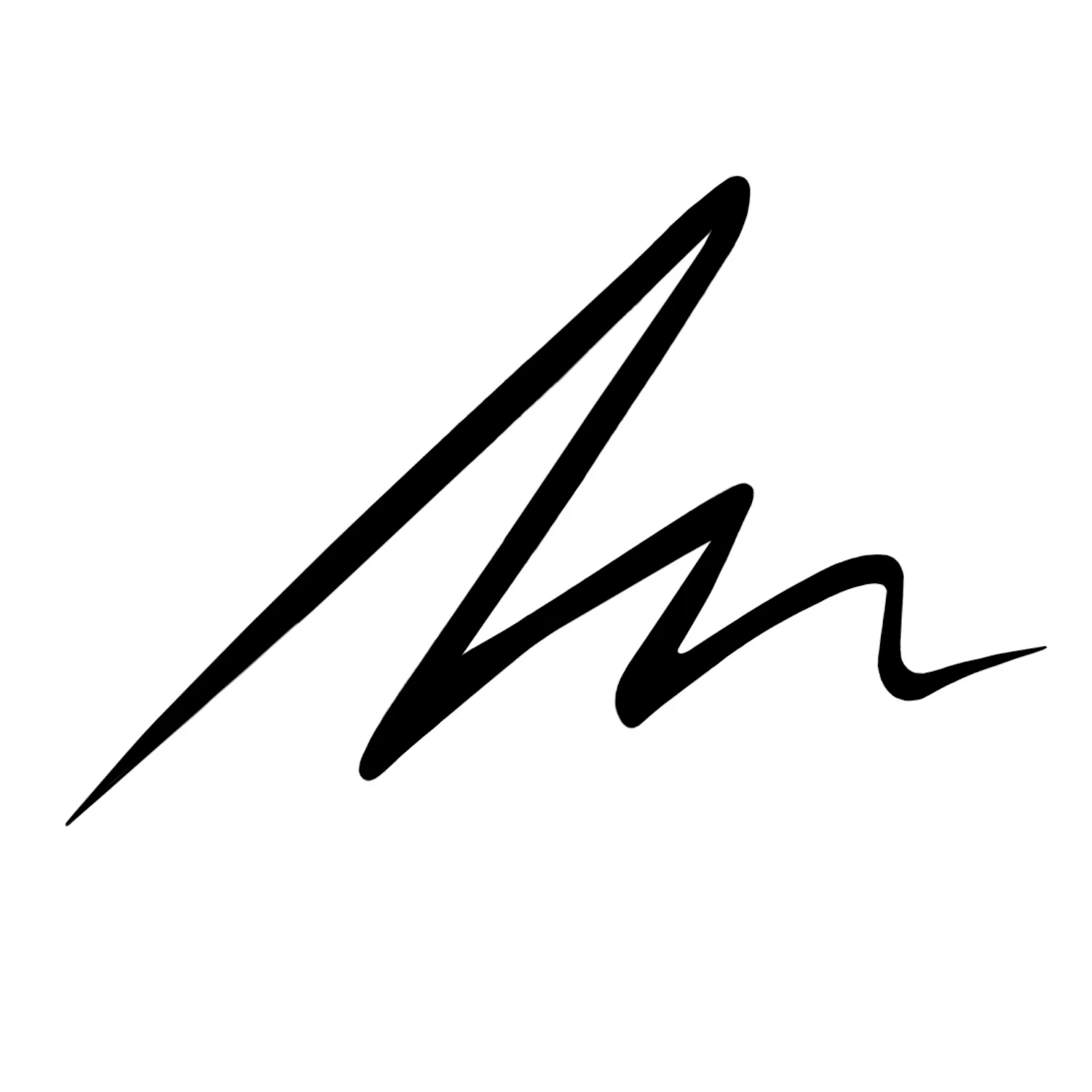 EVERINK LINER Жидкая подводка стойкостью до 24 часов со сверхточным аппликатором