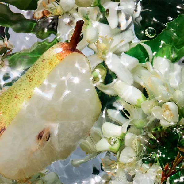 Aqua Allegoria Pera Granita Туалетная вода