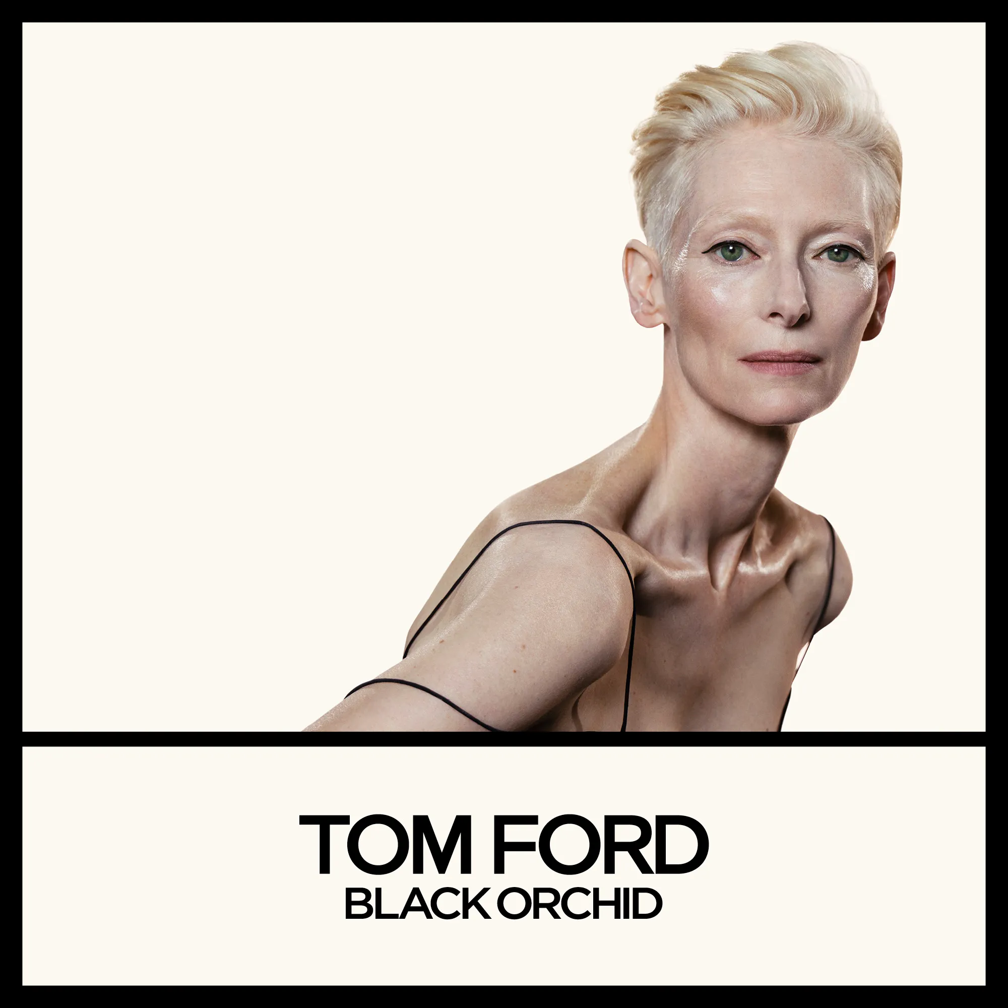 Black Orchid Reserve Духи