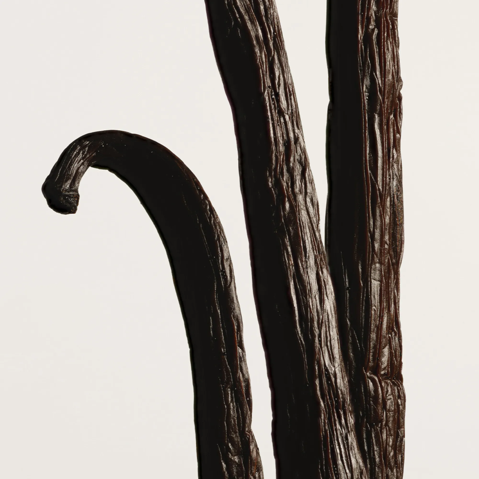 VANILLA POWDER Парфюмерная вода