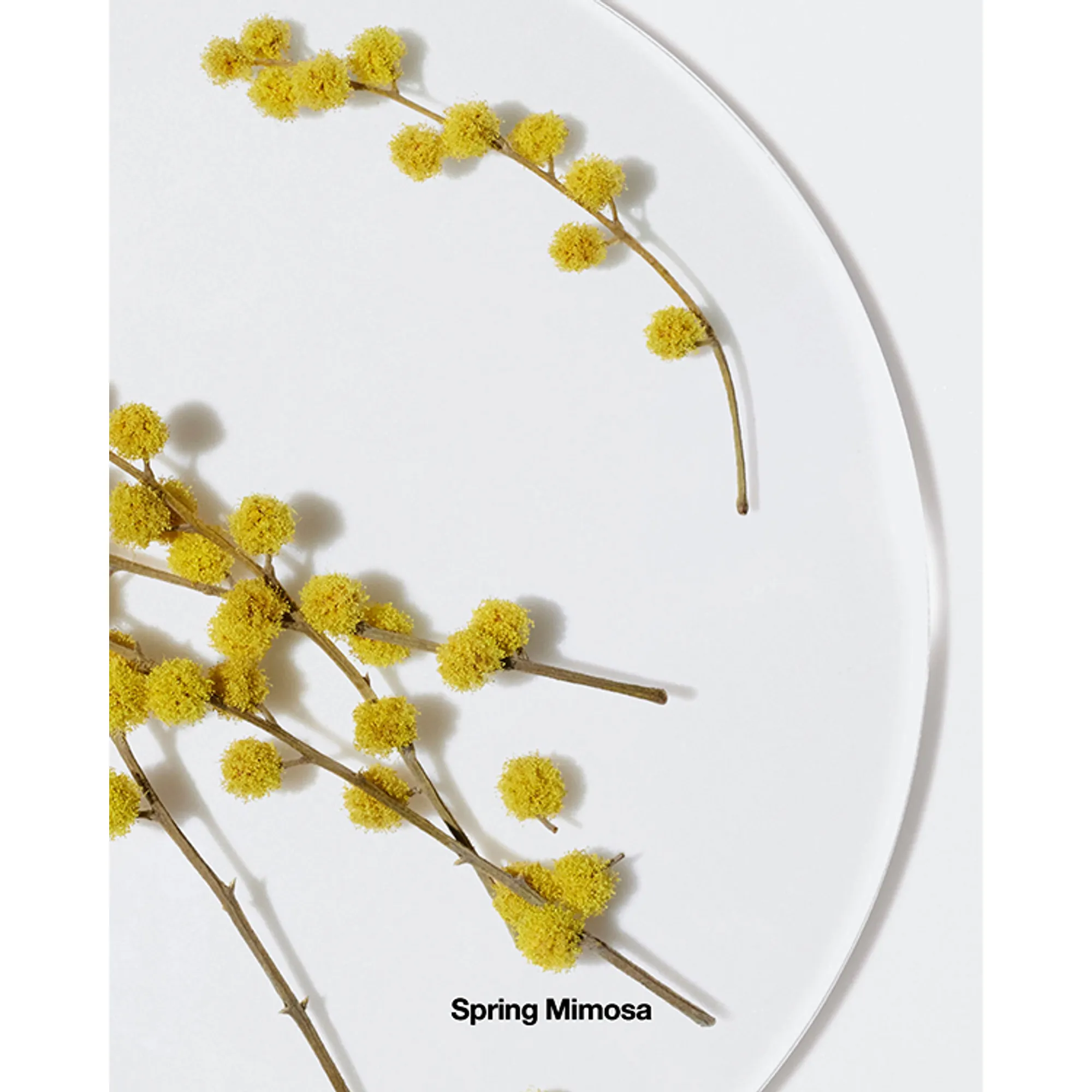 Happy Парфюмерная вода