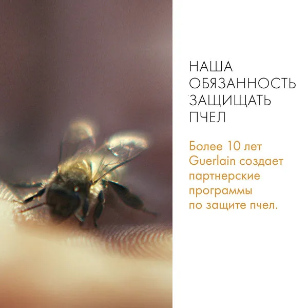 Abeille Royale Дневной крем с насыщенной текстурой