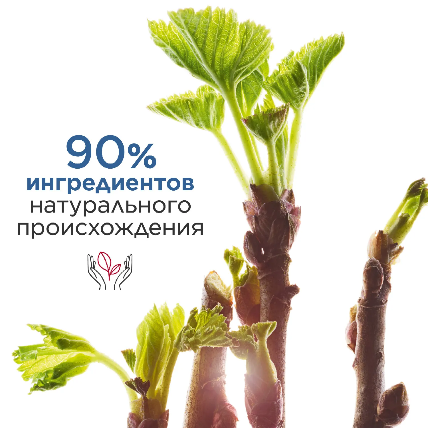 MEN Gel Moussant Rasage Ideal Пенящийся гель для бритья