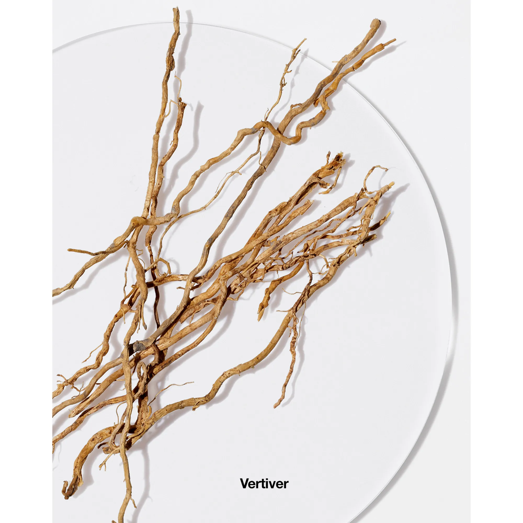 Aromatics Elixir Парфюмерная вода