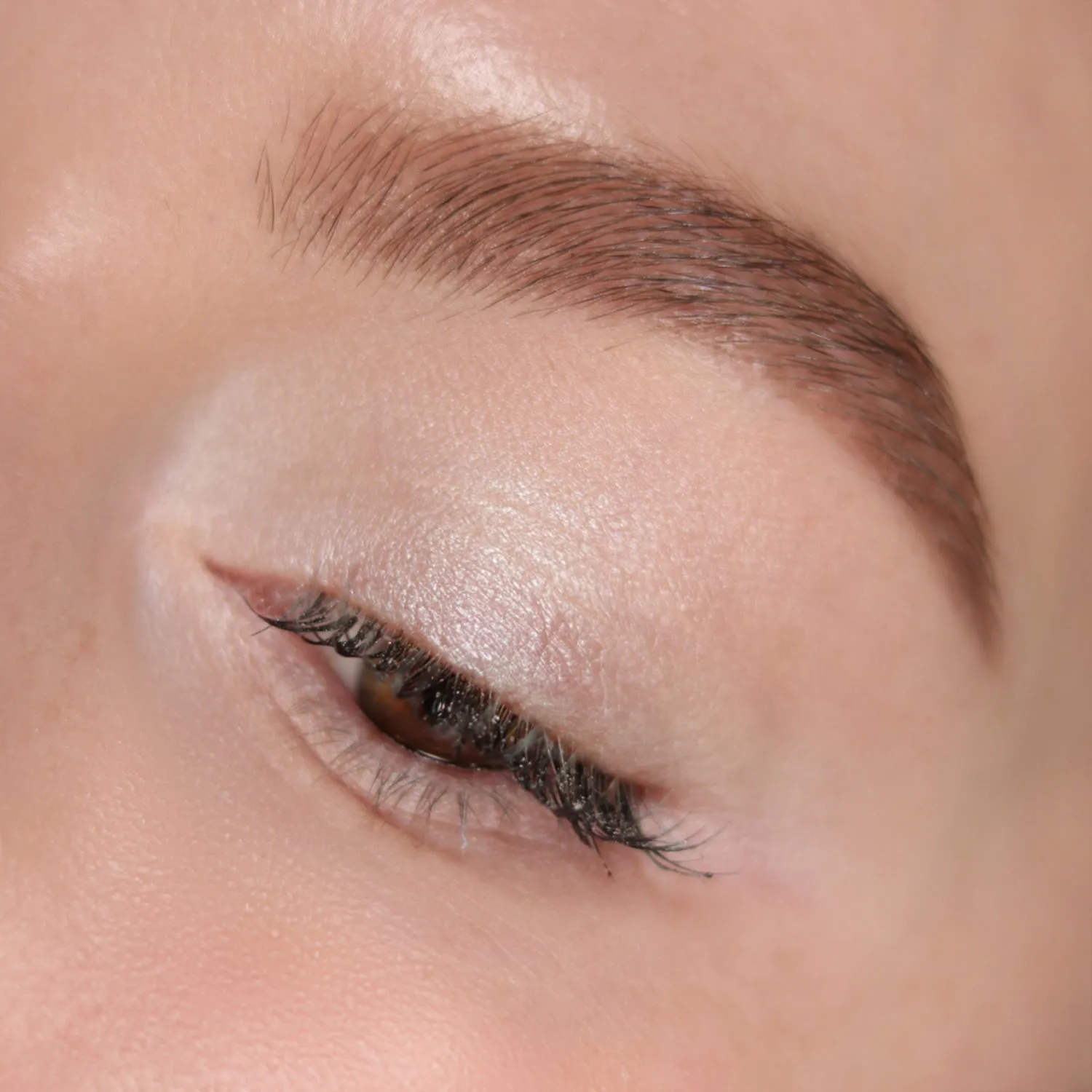 Seta Тени для век Seta Тени для век