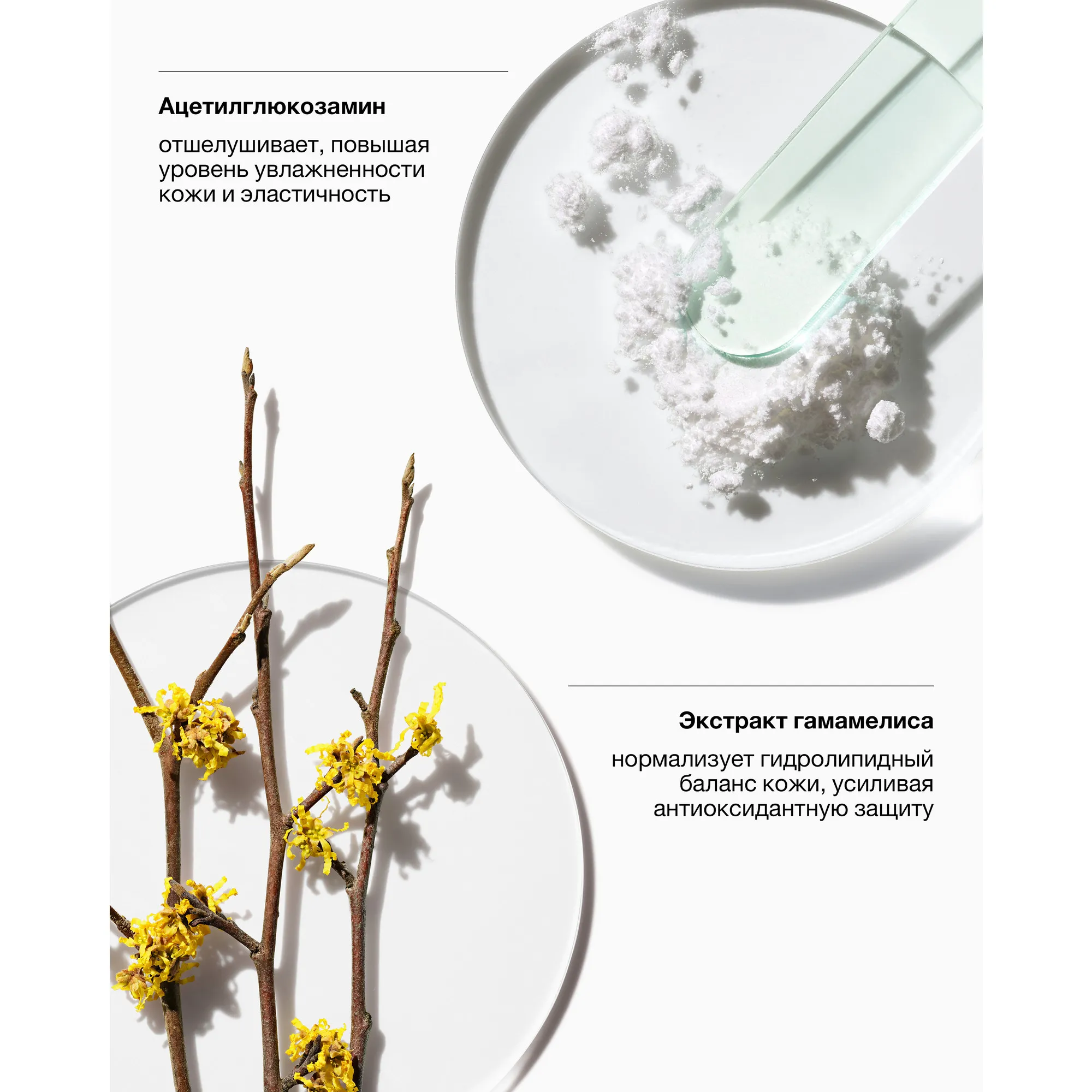 Clarifying Lotion Twice A Day Exfoliator 4 Oily ΠΡΡΠ΅Π»ΡΡΠΈΠ²Π°ΡΡΠΈΠΉ Π»ΠΎΡΡΠΎΠ½Π΄Π»Ρ ΠΆΠΈΡΠ½ΠΎΠΉ ΠΊΠΎΠΆΠΈ