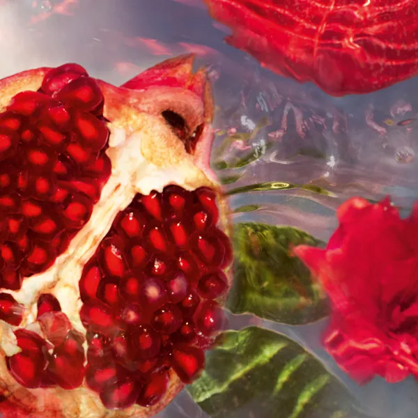 Aqua Allegoria Granada Salvia Туалетная вода