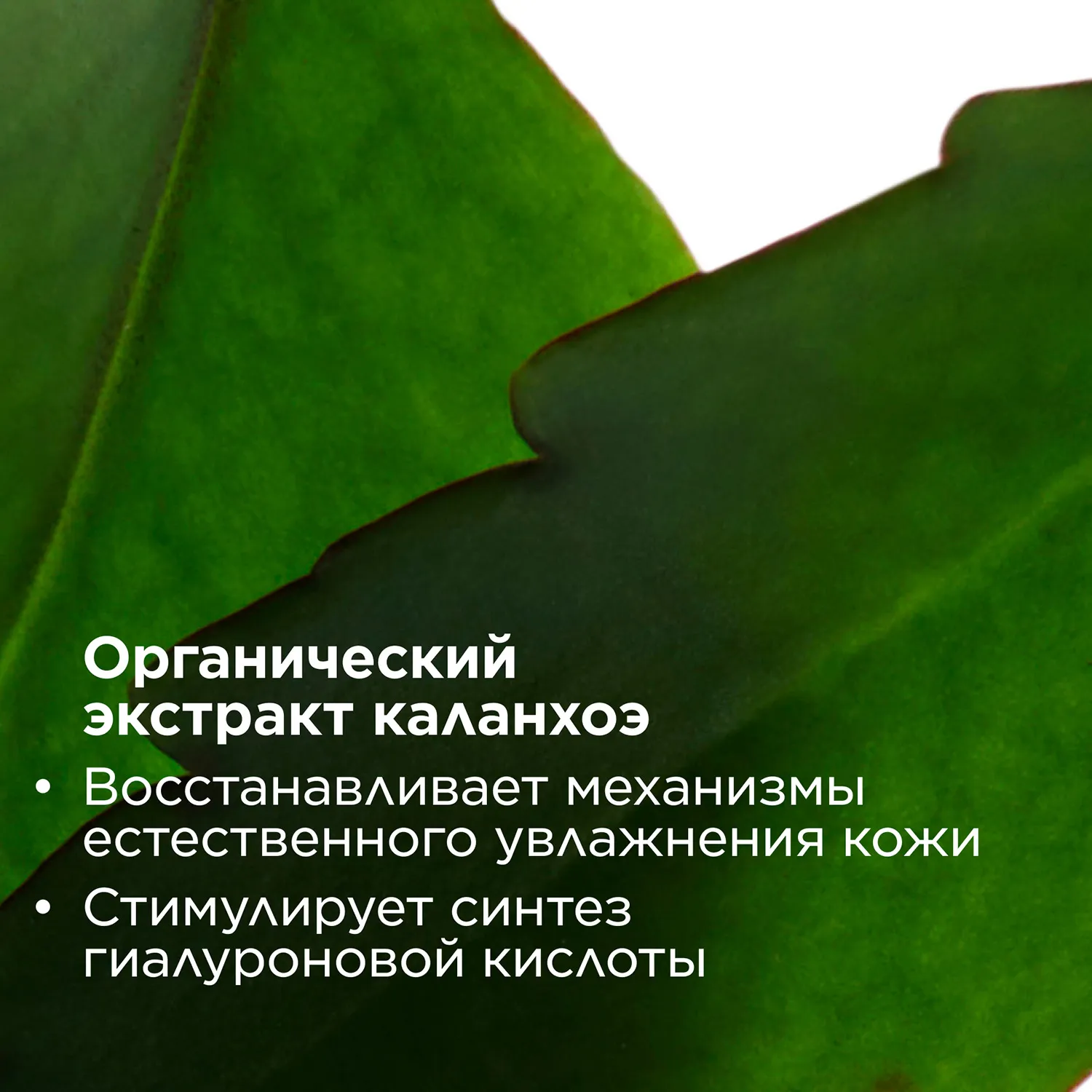 Fresh Scrub Освежающий отшелушивающий крем для лица 