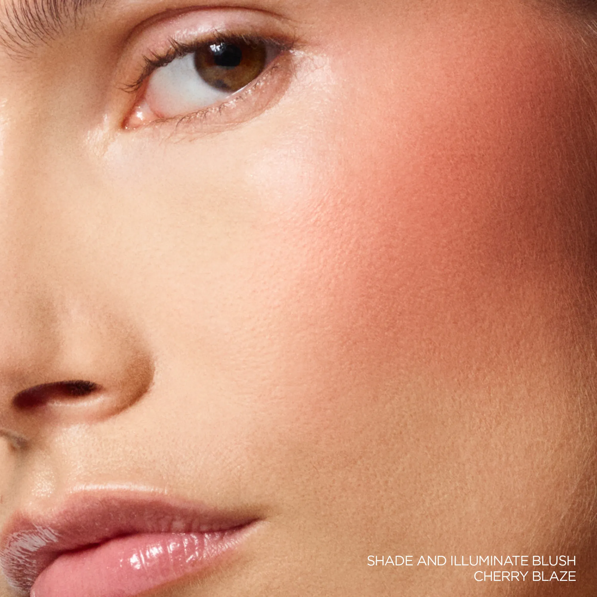 Shade and Illuminate Румяна