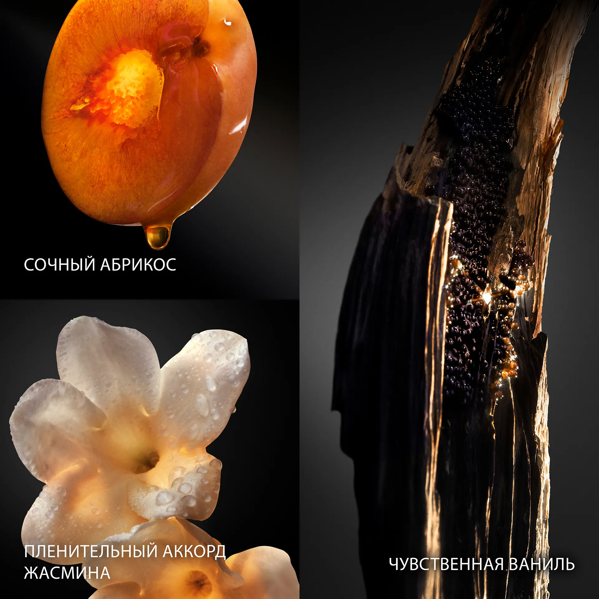 Olympea Absolu Духи-cпрей