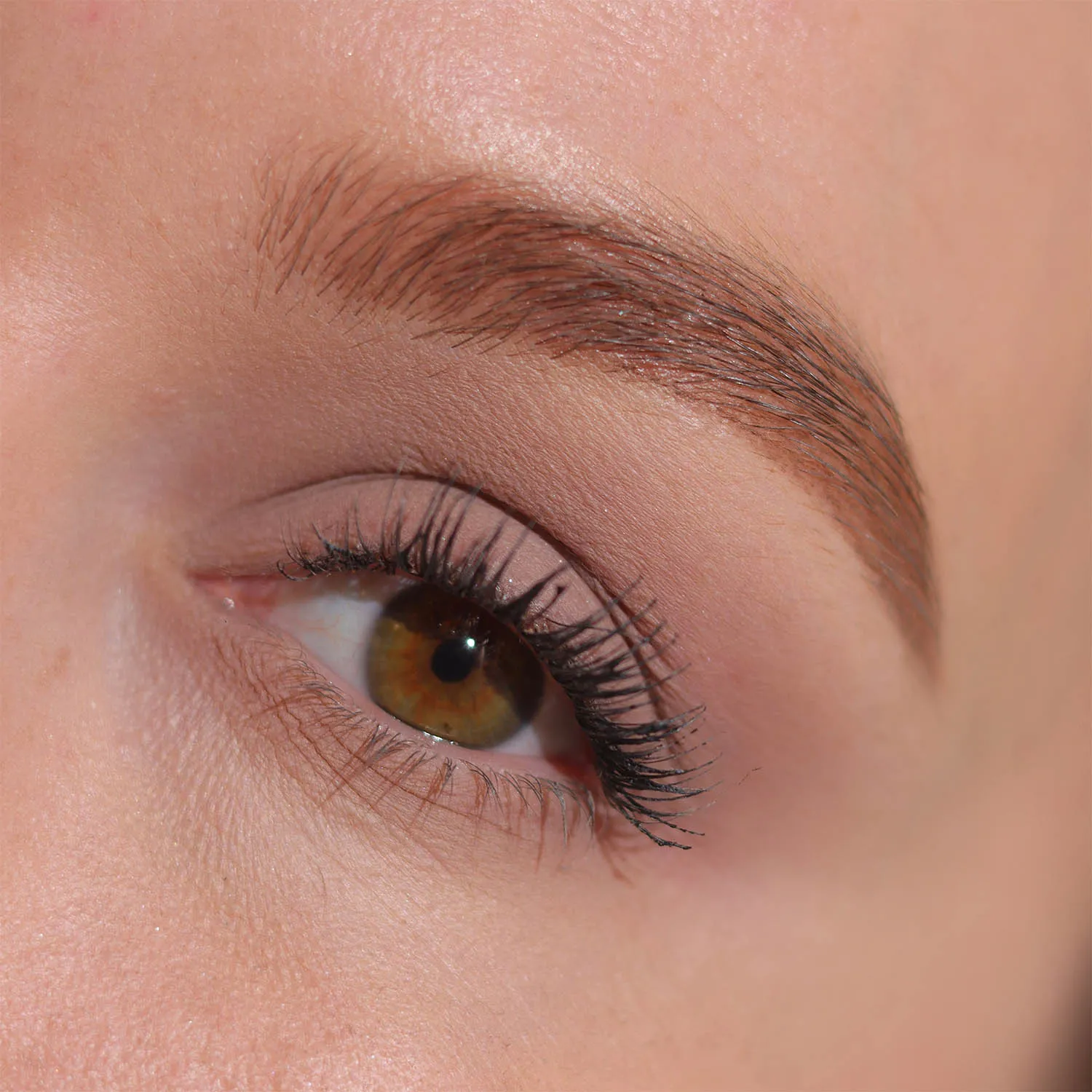 Seta Тени для век 