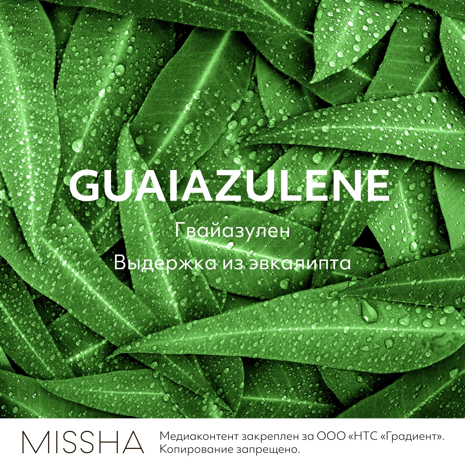 Mascure ΠΠ°ΡΠΊΠ° ΡΠ΅Π»Π°ΠΊΡ Ρ Π³Π²Π°ΠΉΠ°Π·ΡΠ»Π΅Π½ΠΎΠΌ ΡΡΠΏΠΎΠΊΠ°ΠΈΠ²Π°ΡΡΠ΅Π³ΠΎ Π΄Π΅ΠΉΡΡΠ²ΠΈΡ Π΄Π»Ρ ΡΠ°Π·Π΄ΡΠ°ΠΆΠ΅Π½Π½ΠΎΠΉ ΠΈ ΡΡΠ²ΡΡΠ²ΠΈΡΠ΅Π»ΡΠ½ΠΎΠΉ ΠΊΠΎΠΆΠΈ