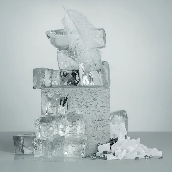 Born in Roma Donna Yellow Dream Парфюмерная вода