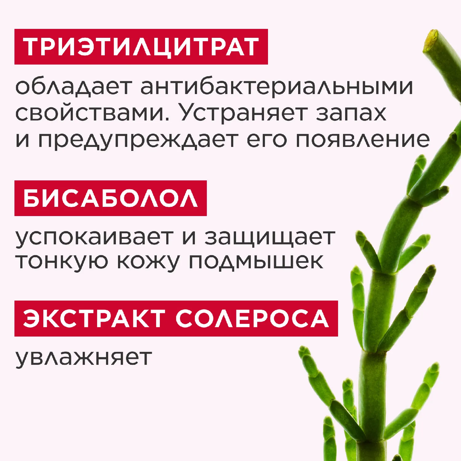 Eau Dynamisante Парфюмированный дезодорант-спрей