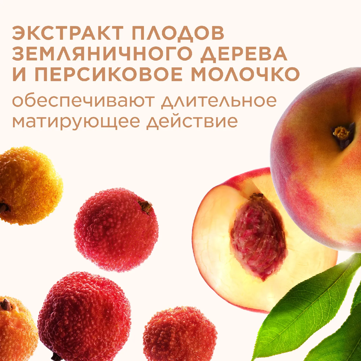 Ever Matte Матирующая компактная пудра