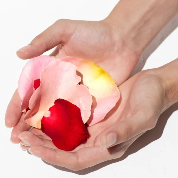 Apothecary Wild Rose Clearly Bright Cleansing Gel Очищающий гель с экстрактом дикой розы