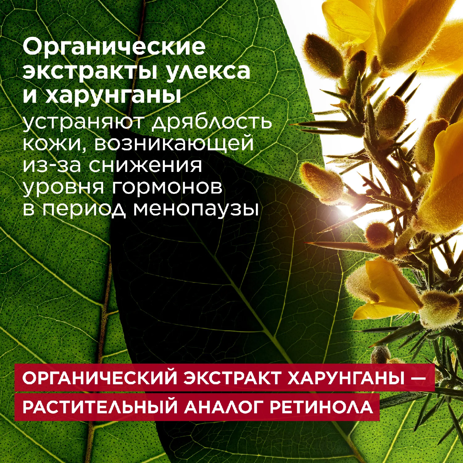 Multi-Intensive ΠΠΎΡΡΡΠ°Π½Π°Π²Π»ΠΈΠ²Π°ΡΡΠΈΠΉ Π΄Π½Π΅Π²Π½ΠΎΠΉ ΠΊΡΠ΅ΠΌ Ρ ΡΡΡΠ΅ΠΊΡΠΎΠΌ Π»ΠΈΡΡΠΈΠ½Π³Π° ΠΈ ΡΠΈΡΠ½ΠΈΡ Π΄Π»Ρ Π»ΡΠ±ΠΎΠ³ΠΎ ΡΠΈΠΏΠ° ΠΊΠΎΠΆΠΈ