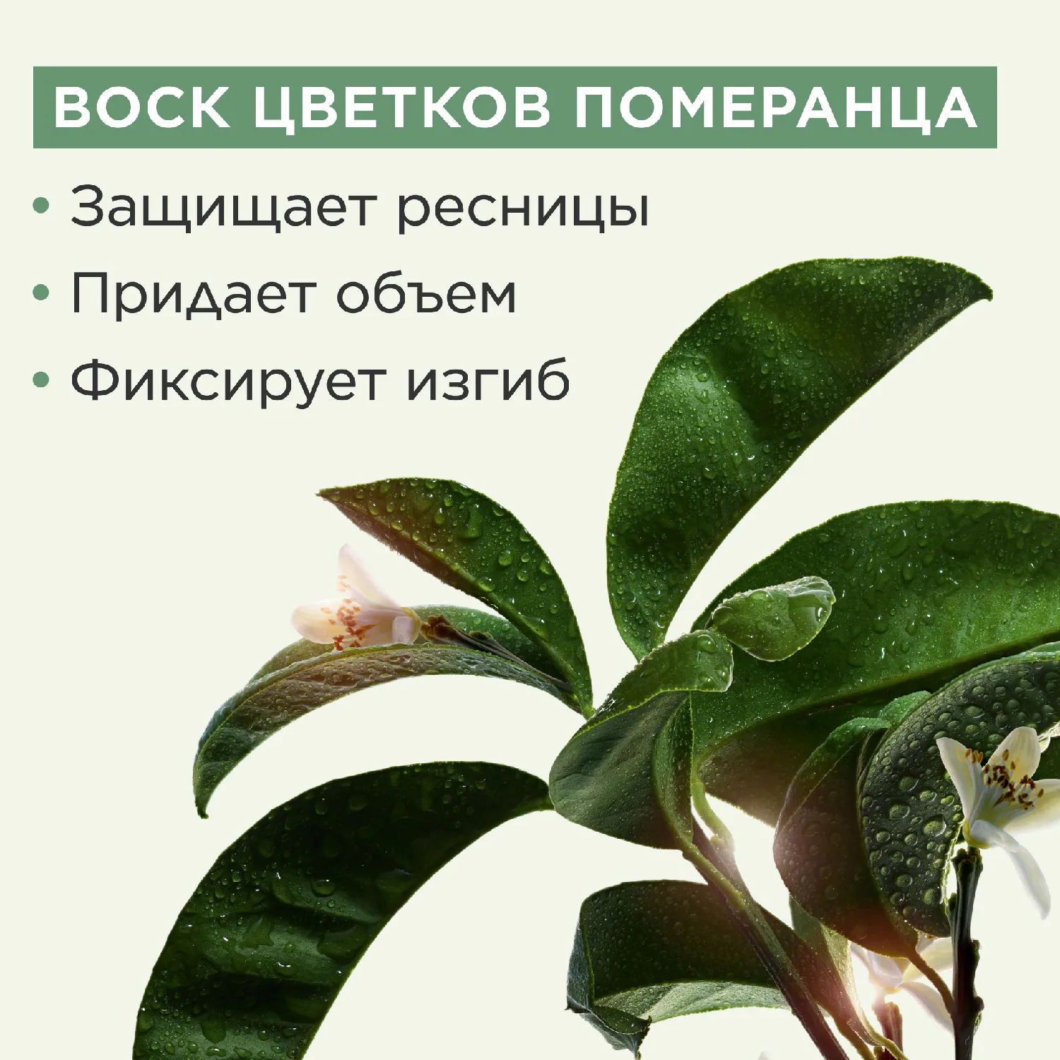 Supra Lift & Curl Mascara Тушь для ресниц с эффектом подкручивания и объема