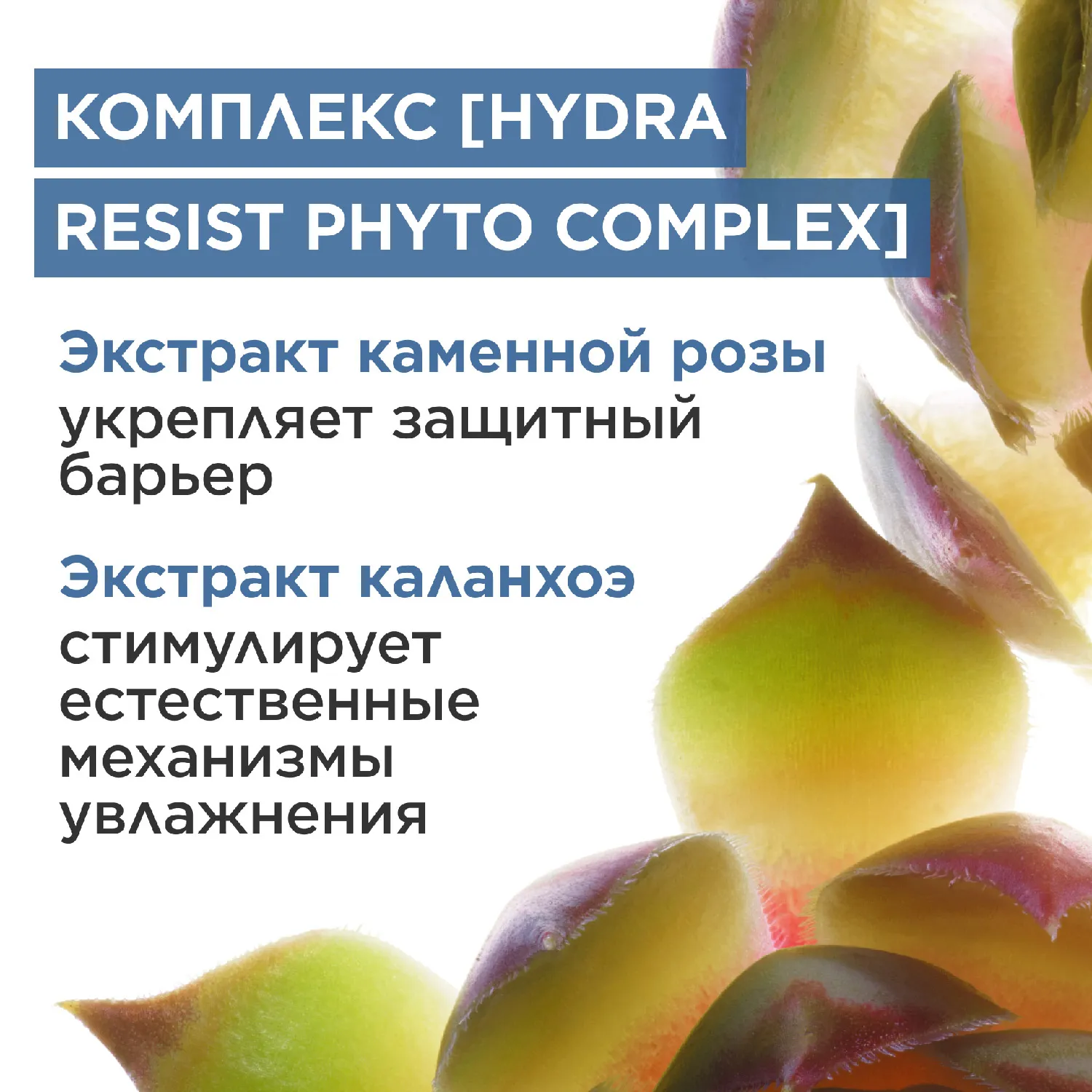 Baume Super Hydratant Интенсивно увлажняющий бальзам для лица