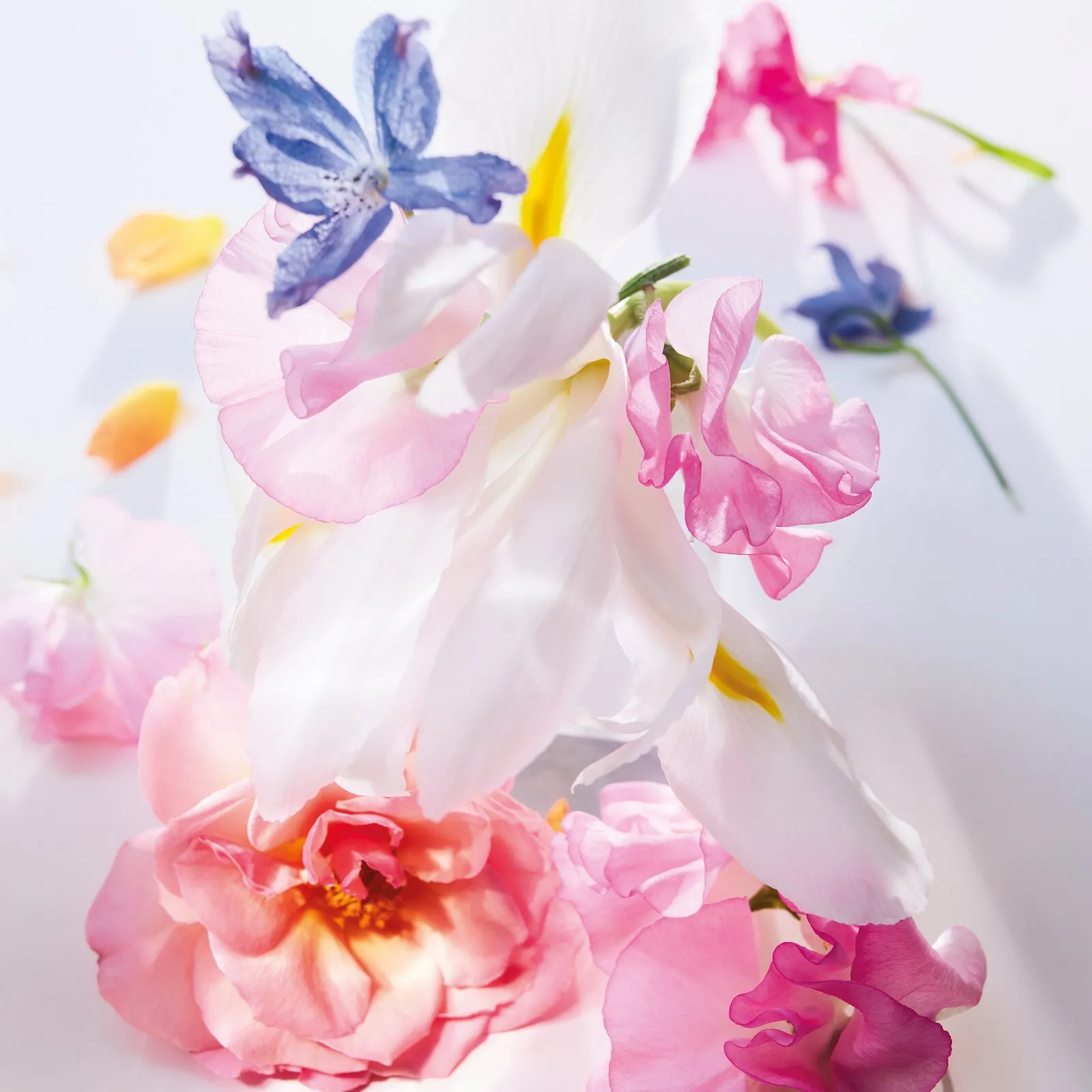 Miss Dior Парфюмерная вода Miss Dior Парфюмерная вода