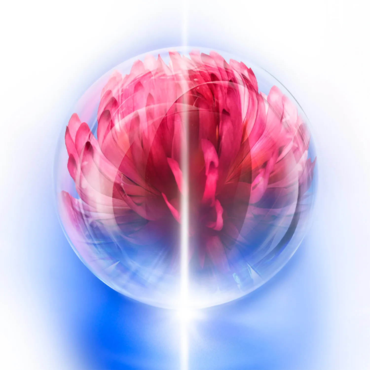 Bio-performance HIForce Регенерирующий крем для лица 