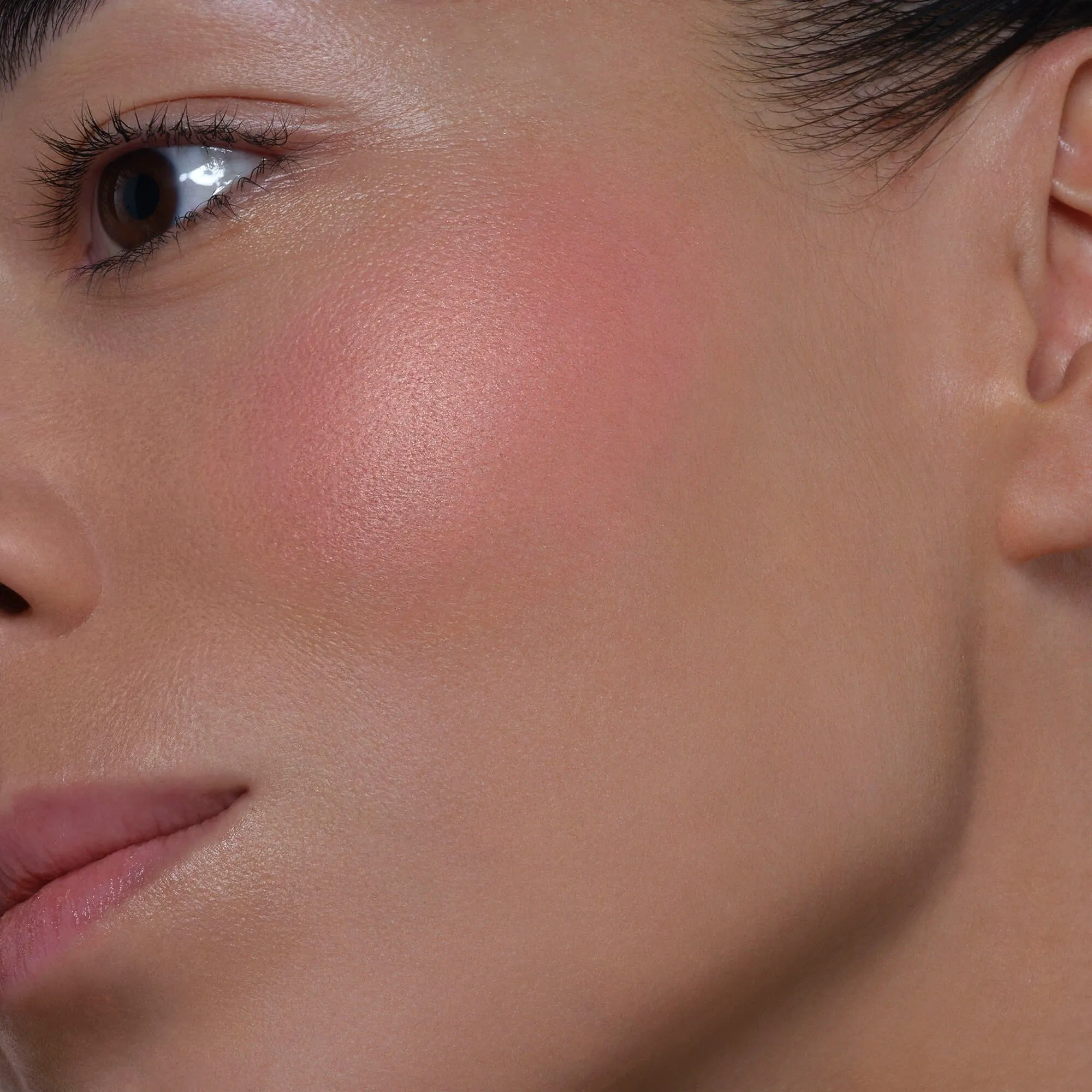 ARTIST FACE POWDERS BLUSH Румяна