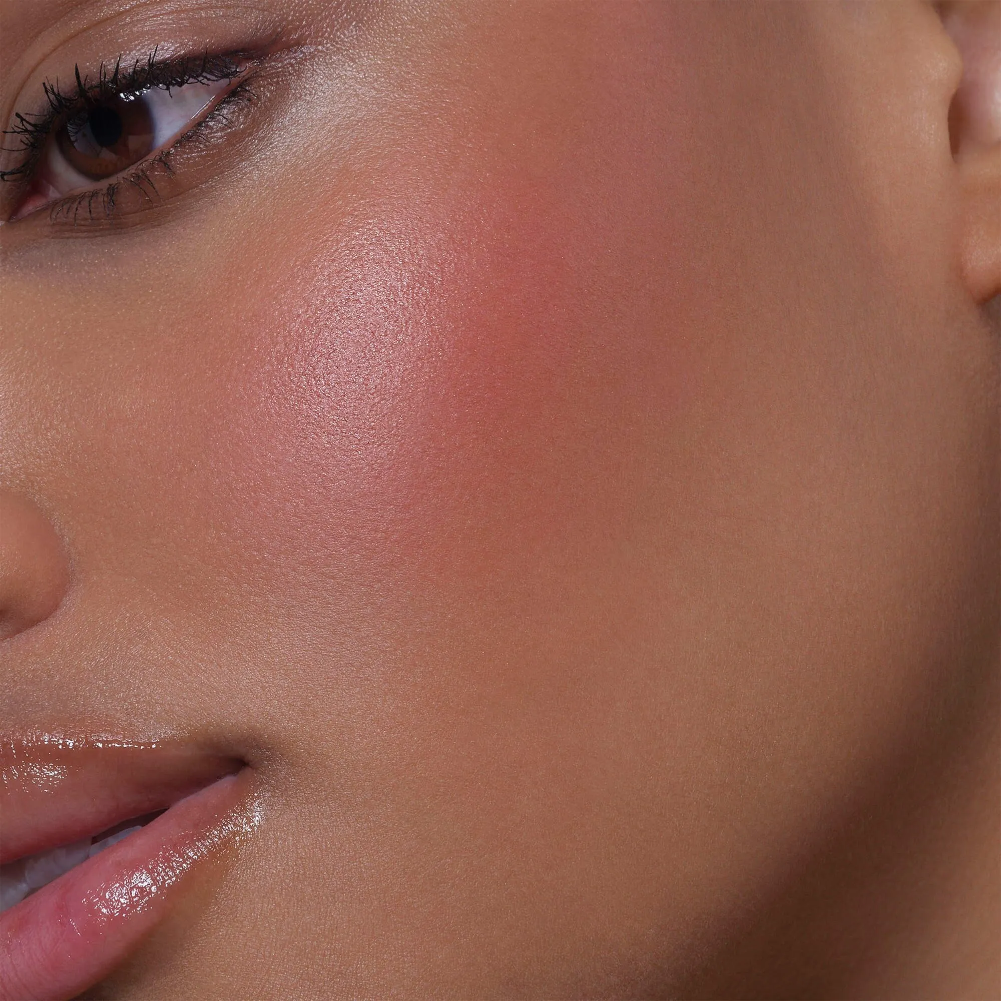 ARTIST FACE POWDERS BLUSH Румяна
