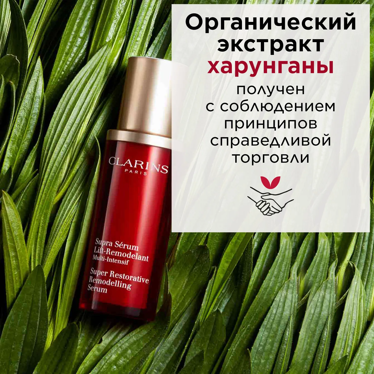 Multi-Intensive Восстанавливающая сыворотка интенсивного действия