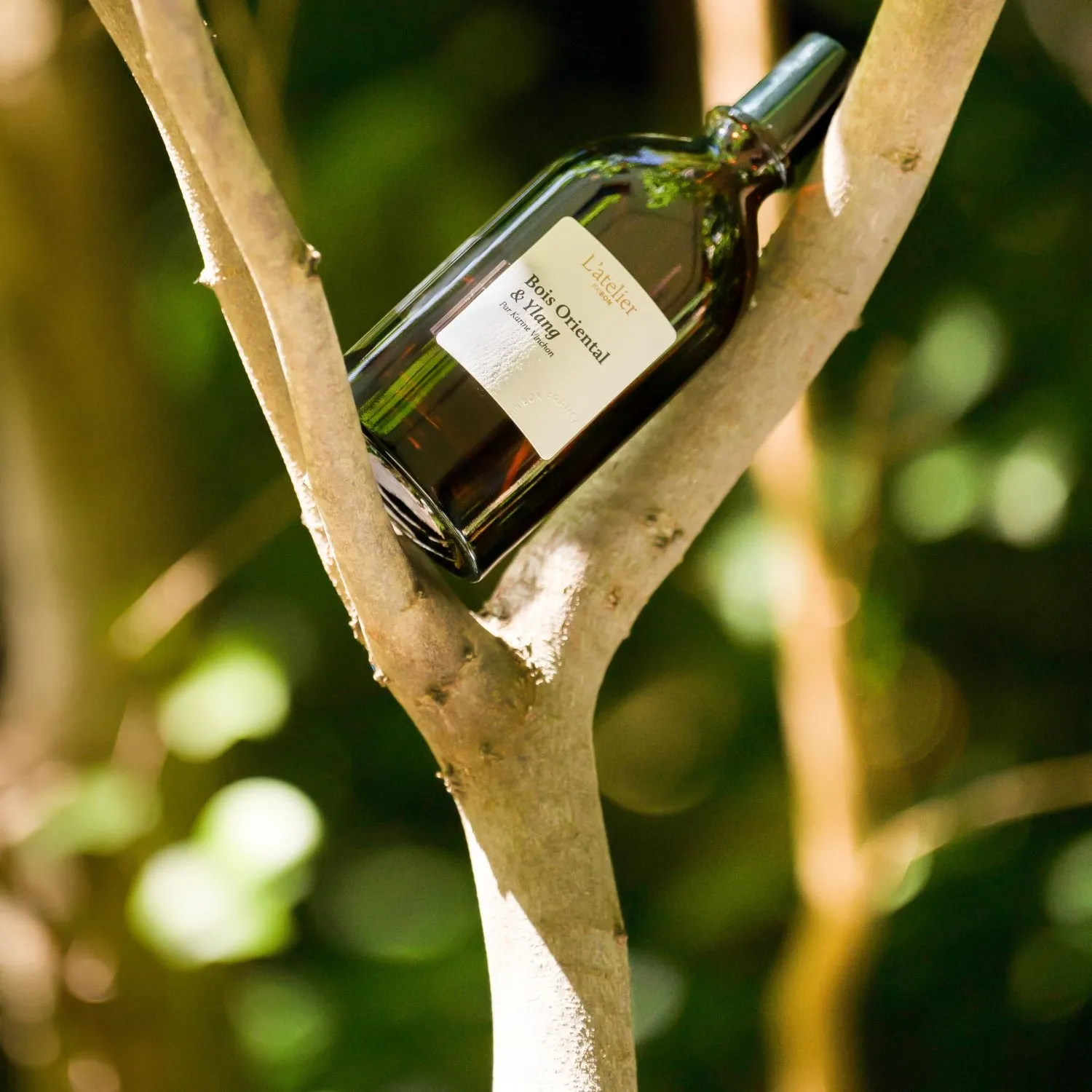 L`Atelier Bois Oriental & Ylang Парфюмерная вода