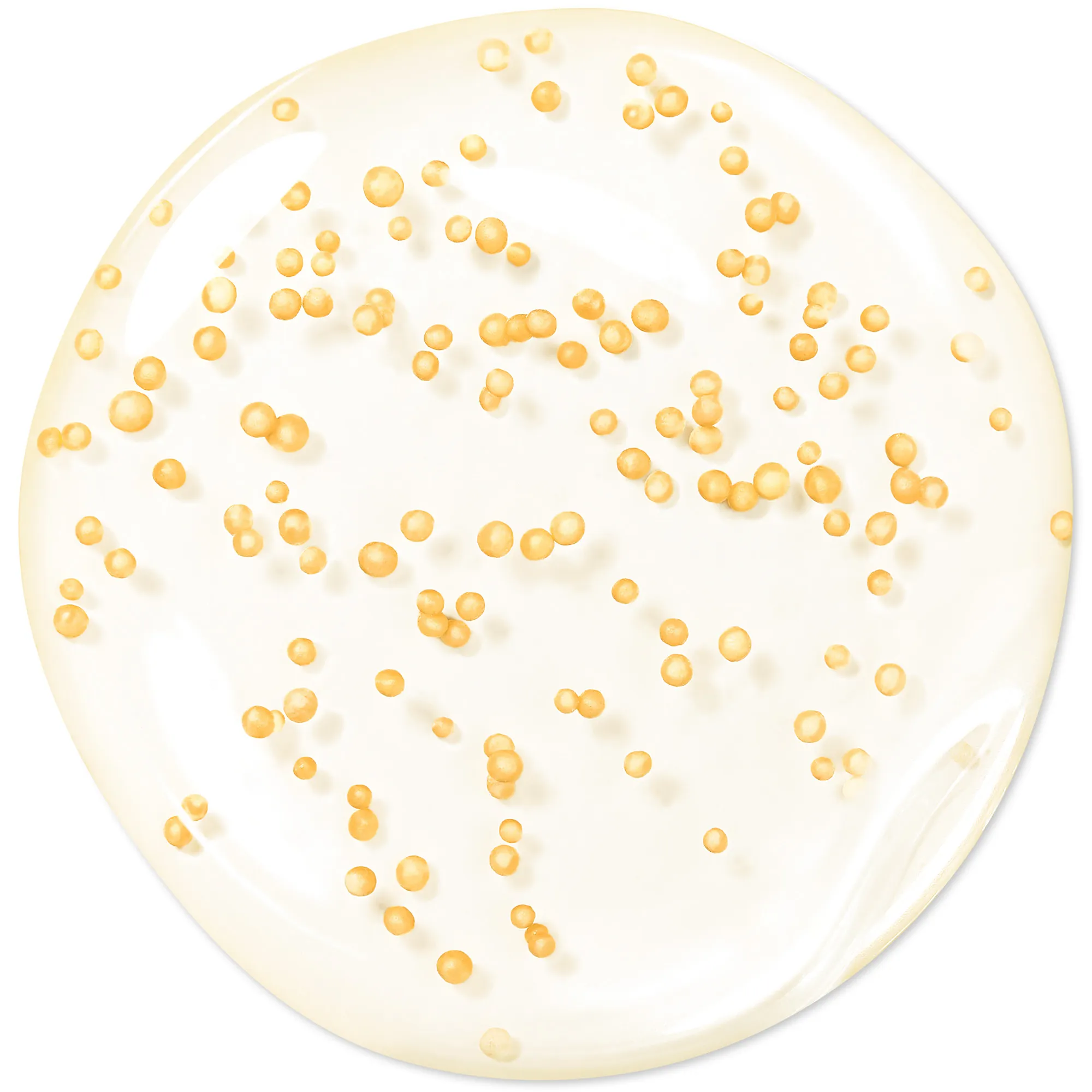 Abeille Royale Cыворотка омолаживающая