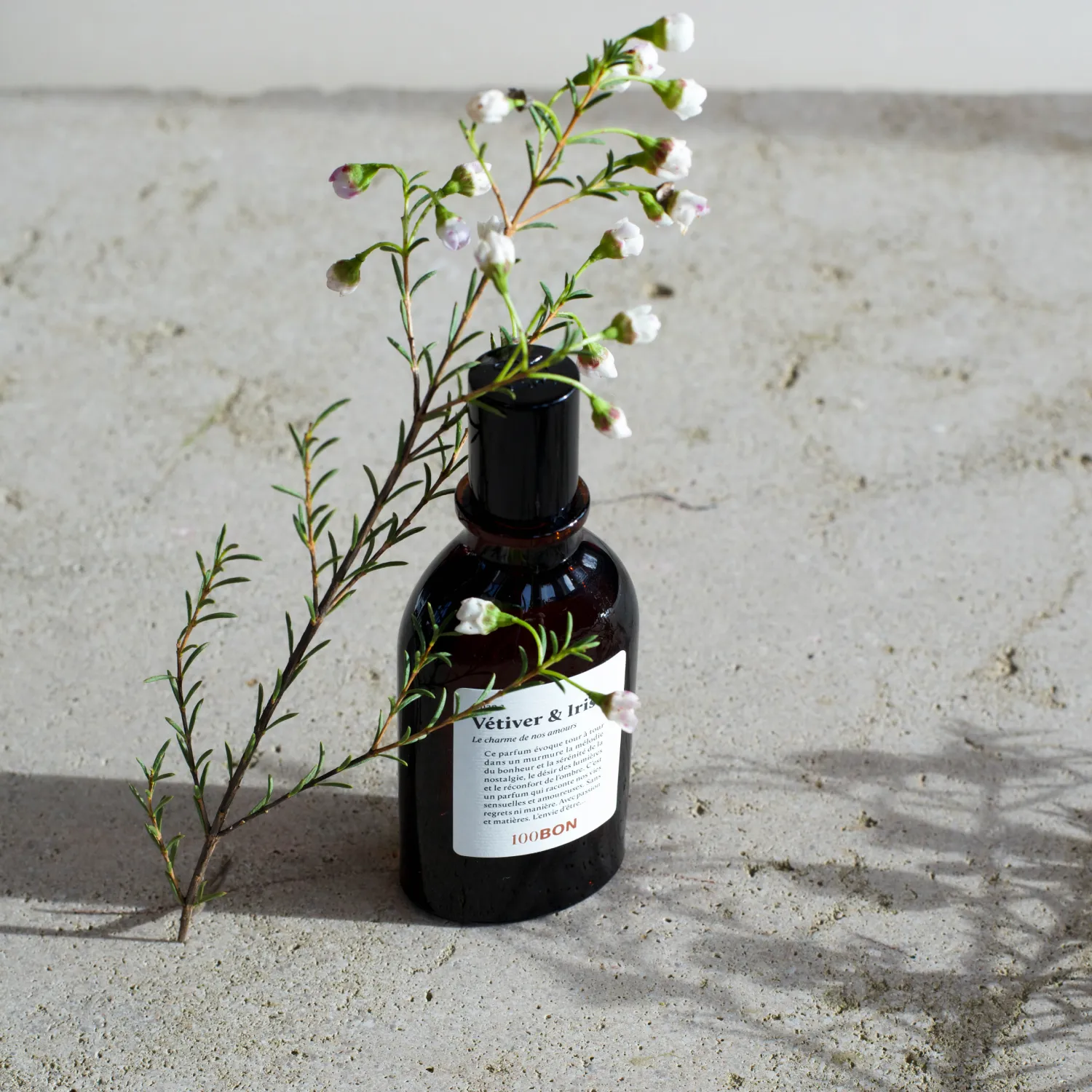 Vetiver & Iris Парфюмерная вода