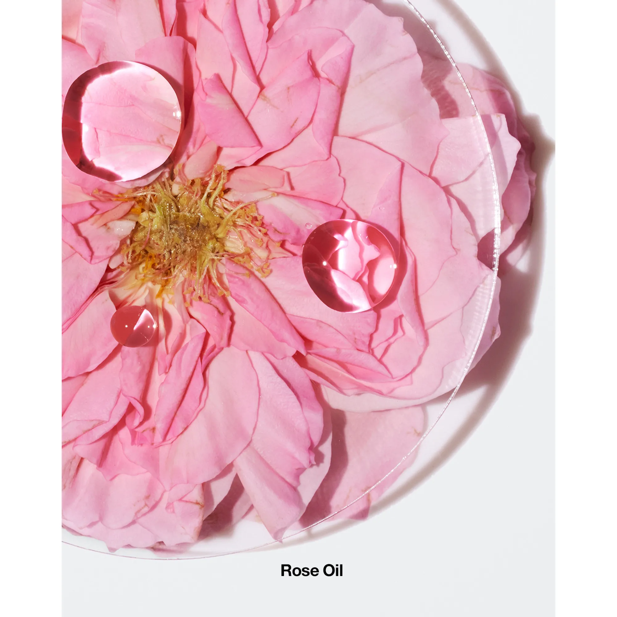 Aromatics Elixir Парфюмерная вода