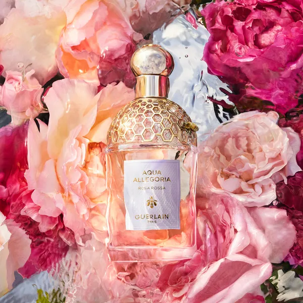 Aqua Allegoria Rosa Rossa Туалетная вода
