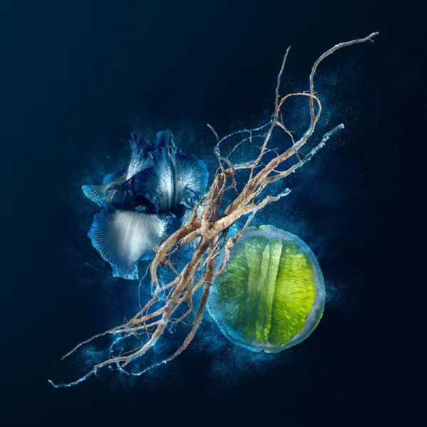 LUNA ROSSA OCEAN Туалетная вода