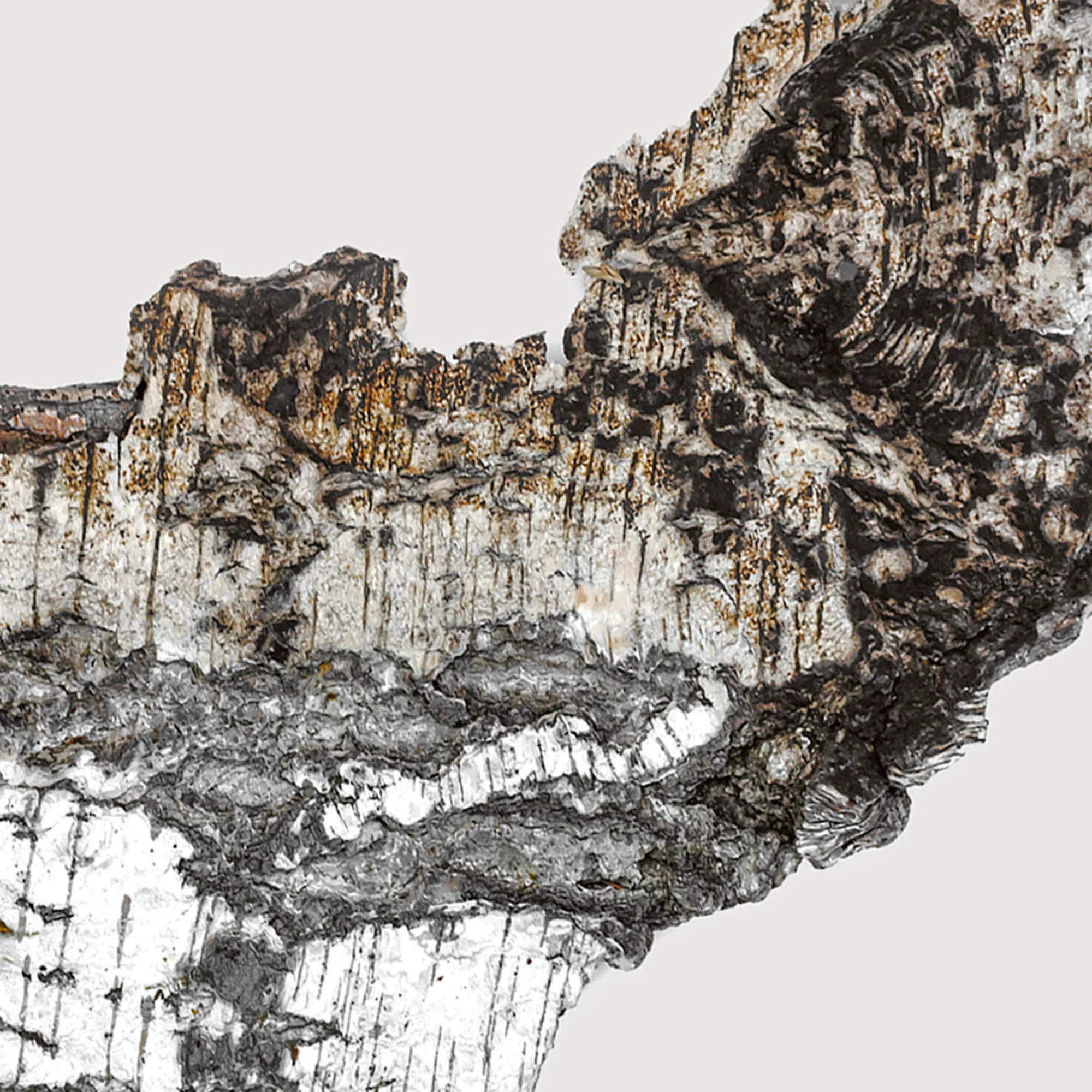 FALCON LEATHER Парфюмерный экстракт 