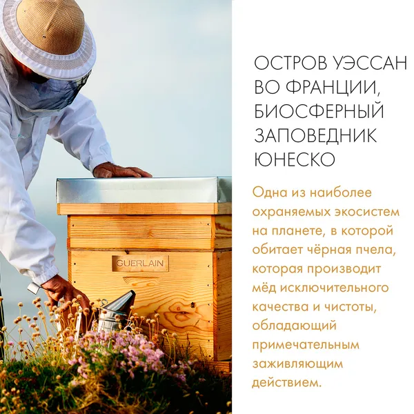 Abeille Royale Сыворотка для ухода за кожей вокруг глаз