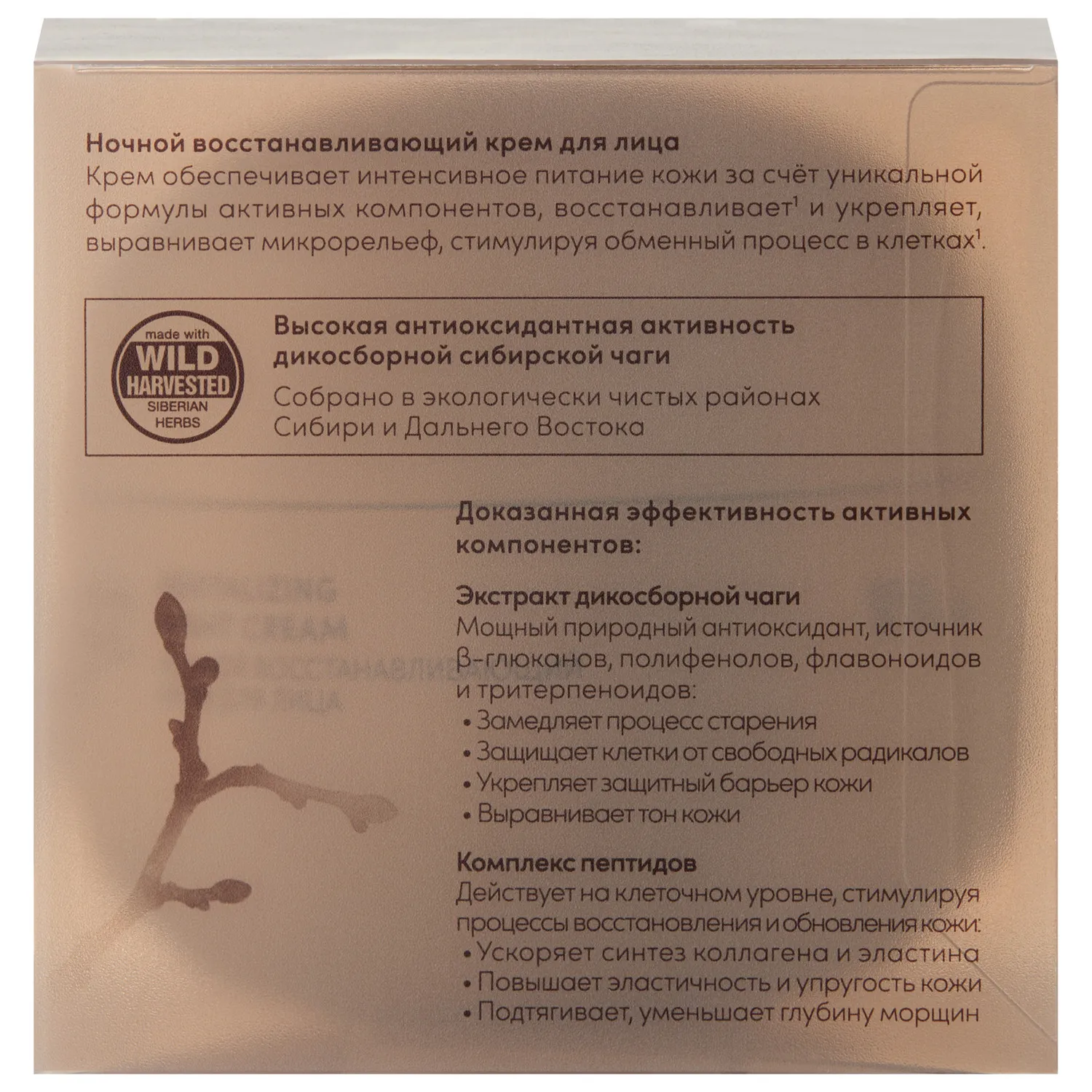 Chaga Peptides Night restorative face cream Ночной восстанавливающий крем для лица  