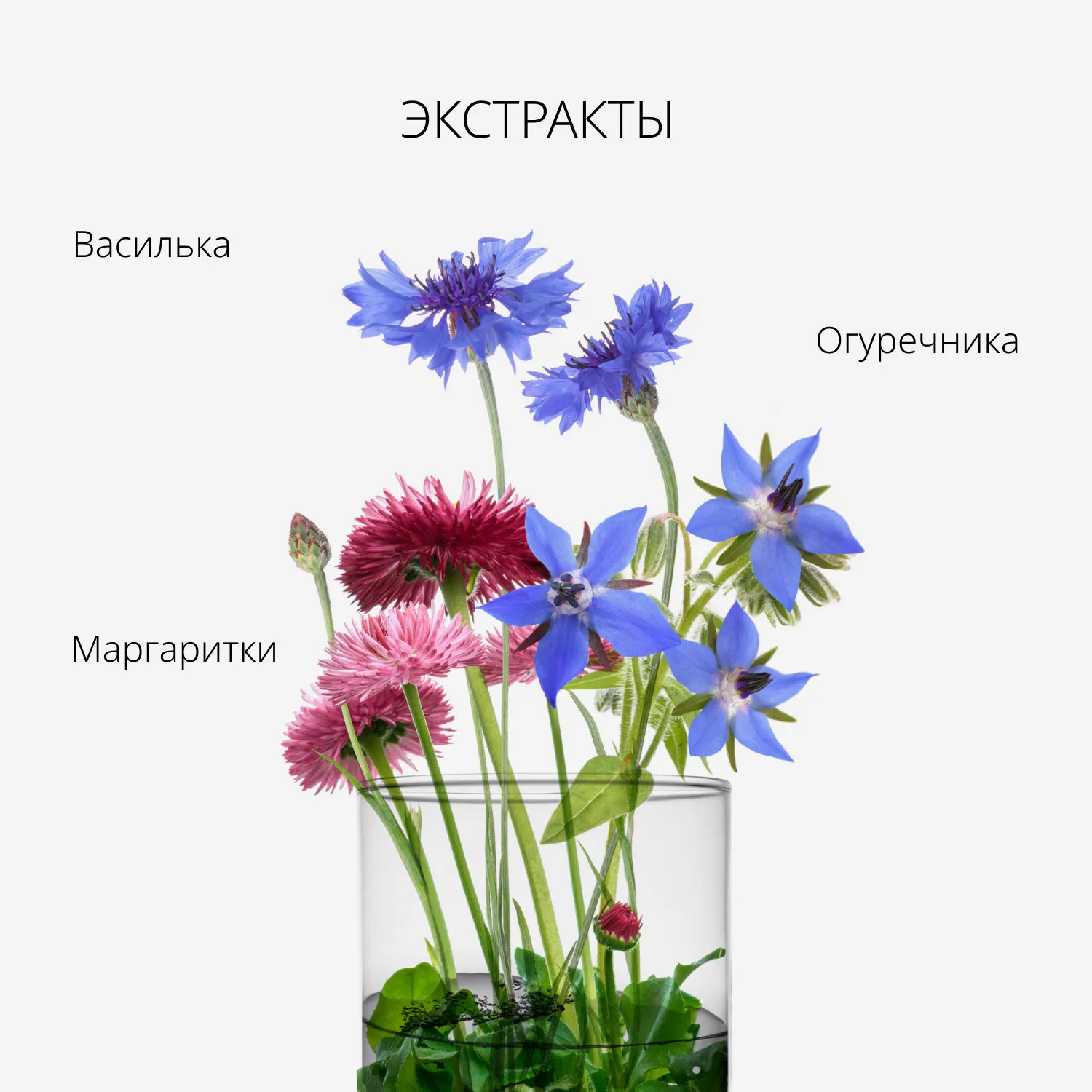 Perfect Lip&Eye Двухфазное средство для снятия макияжа с глаз и губ  с мицеллярной водой