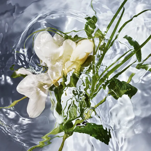 Aqua Allegoria Herba Fresca Туалетная вода купить 100% оригинал в ...