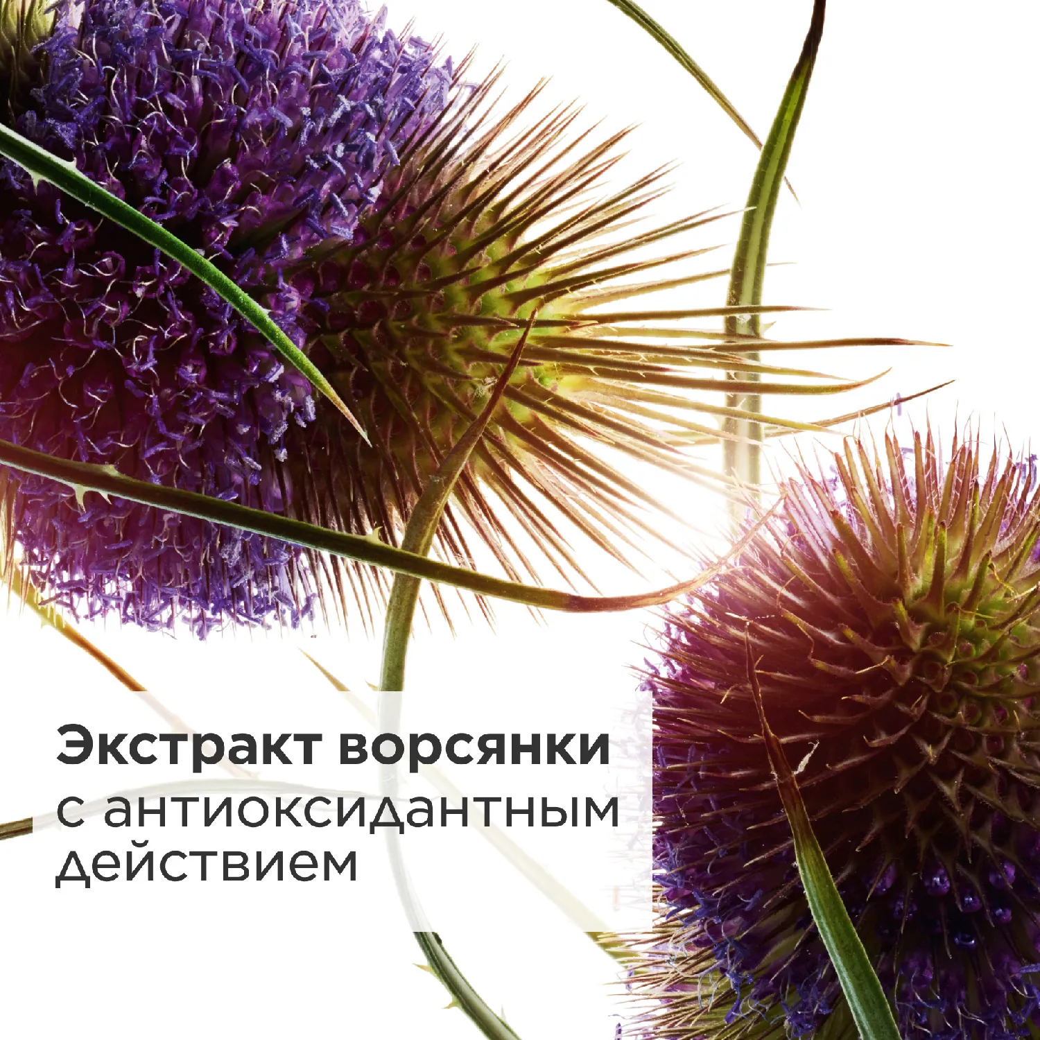 Total Eye Revive Крем-гель против первых морщин и темных кругов под глазами