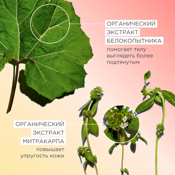 Body Firming Крем для повышения упругости кожи тела