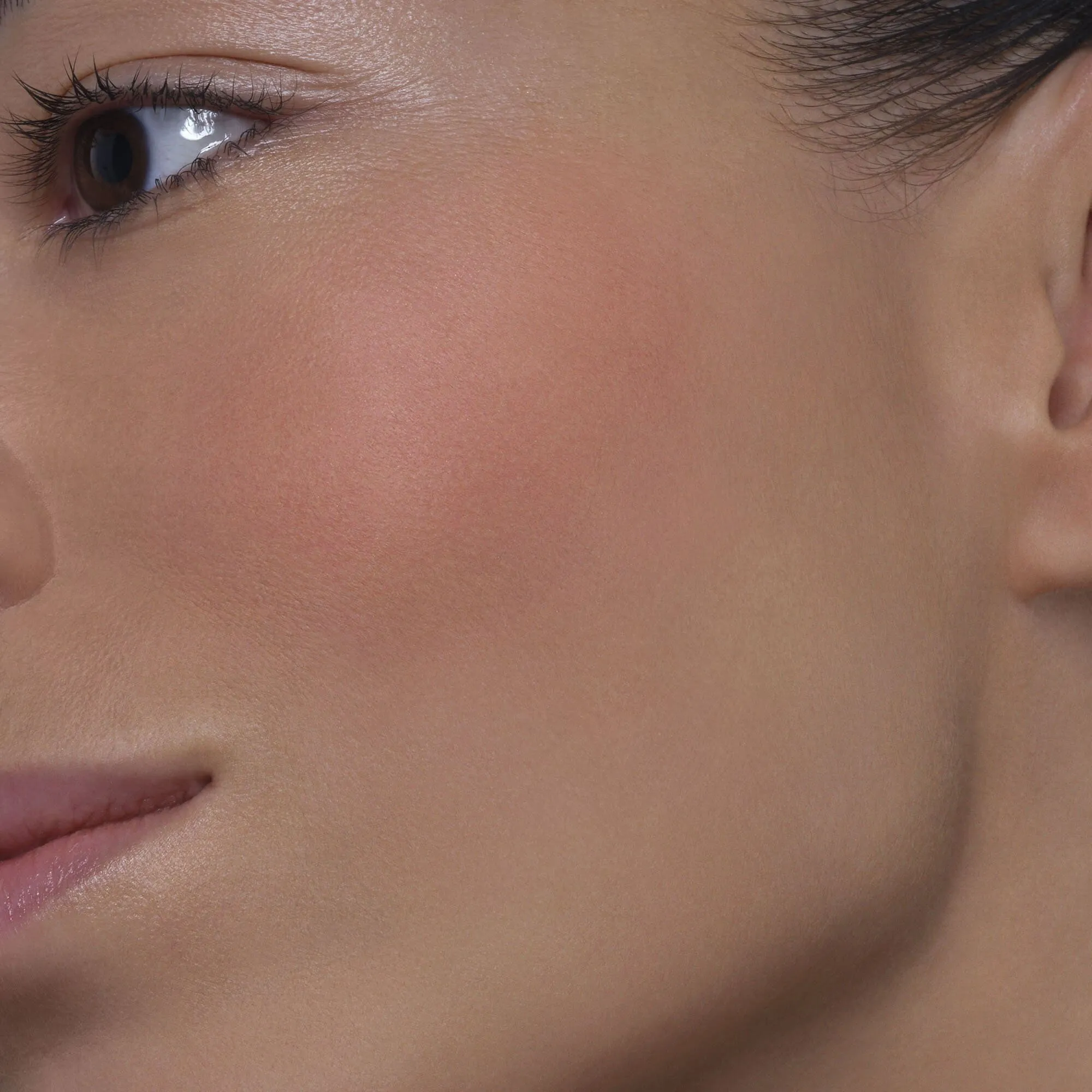 ARTIST FACE POWDERS BLUSH Румяна ARTIST FACE POWDERS BLUSH Румяна